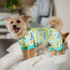 Frisco Go Bananas Dog & Cat Jersey PJs 10 Frisco Go Bananas Dog & Cat Jersey PJs -Frisco 608998 PT6. AC SS1800 V1676642341