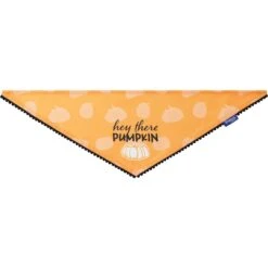 Frisco Hey There Pumpkin Dog & Cat Bandana 10 Frisco Hey There Pumpkin Dog & Cat Bandana -Frisco 706374 PT3. AC SS1800 V1689282446