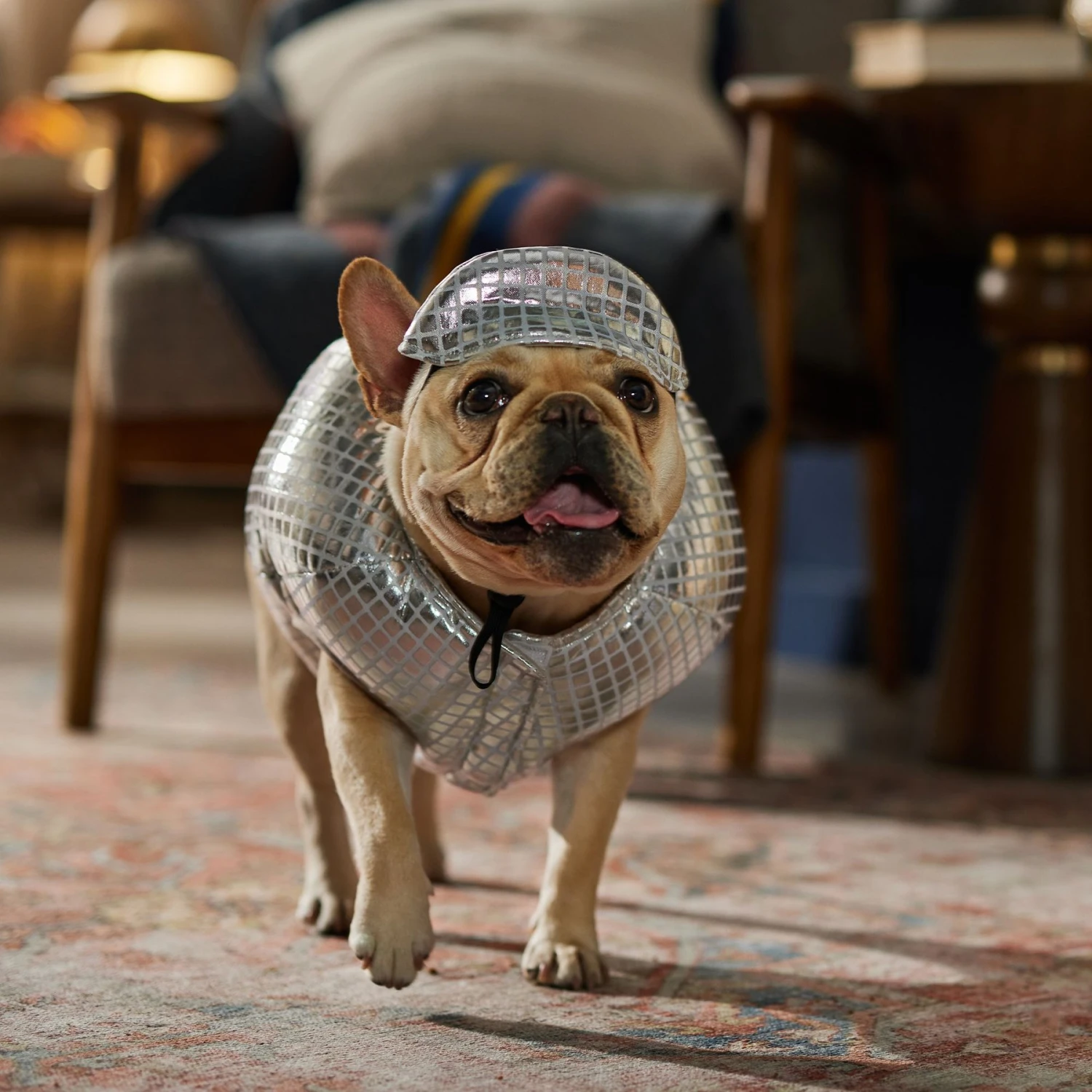 Frisco Disco Ball Dog & Cat Costume 7 Frisco Disco Ball Dog & Cat Costume - Image 7