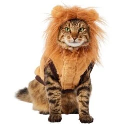 Frisco Lion Love Dog & Cat Costume 11 Frisco Lion Love Dog & Cat Costume -Frisco 708318 PT2. AC SS1800 V1689341486
