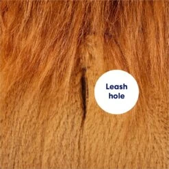 Frisco Lion Love Dog & Cat Costume 15 Frisco Lion Love Dog & Cat Costume -Frisco 708318 PT6. AC SS1800 V1689351045