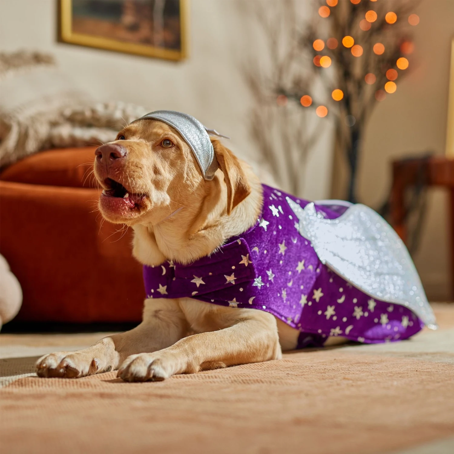 Frisco Shooting Stars Dog & Cat Costume 7 Frisco Shooting Stars Dog & Cat Costume - Image 7