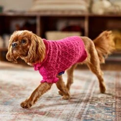 Frisco Ruffle Knit Pointelle Dog & Cat Turtleneck Sweater 14 Frisco Ruffle Knit Pointelle Dog & Cat Turtleneck Sweater -Frisco 720646 PT7. AC SS1800 V1692379033