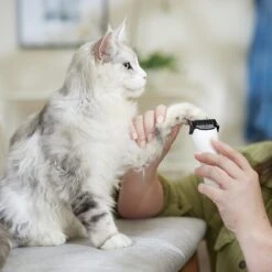 Rechargeable Cordless Cat & Dog Hair Clipper, White -Frisco 729710 PT4. AC SS1800 V1683147134