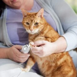 Rechargeable Cordless Cat & Dog 3-Speed Nail Grinder, White 12 Rechargeable Cordless Cat & Dog 3-Speed Nail Grinder, White -Frisco 729774 PT5. AC SS1800 V1683147135