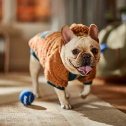 Frisco Wubby Textured Fleece Dog & Cat Hoodie W/ Pocket -Frisco 742510 PT7. AC SS1800 V1692377765