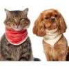 Frisco Reversible Candy Cane Cozy Knit Faux Fur Dog & Cat Pullover Bandana, 1 Count
