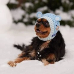 Frisco Nordic Ears Sweater Knit Dog & Cat Hat 12 Frisco Nordic Ears Sweater Knit Dog & Cat Hat -Frisco 745710 PT5. AC SS1800 V1695671059