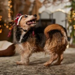 Frisco Nordic Pawprint Dog & Cat Hat 12 Frisco Nordic Pawprint Dog & Cat Hat -Frisco 746782 PT5. AC SS1800 V1694799891