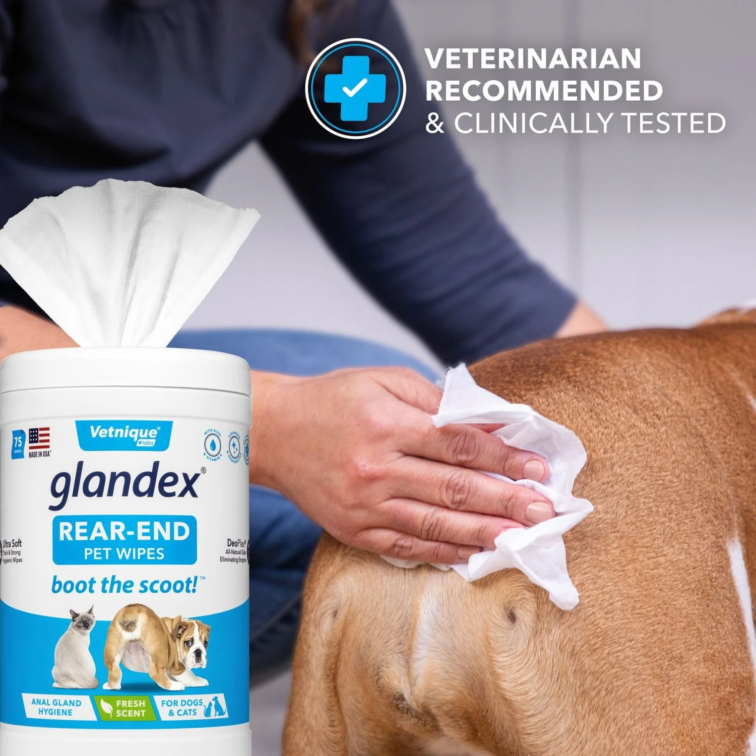 Vetnique Labs Glandex Wipes Rear End Anal Gland Cleansing & Deodorizing Hygienic Rear End Boot The Scoot Dog & Cat Wipes & Frisco Disposable Male Dog Wraps 5 Vetnique Labs Glandex Wipes Rear End Anal Gland Cleansing & Deodorizing Hygienic Rear End Boot The Scoot Dog & Cat Wipes & Frisco Disposable Male Dog Wraps - Image 5