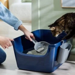 Frisco Open Top Cat Litter Box With Rim, Large & Frisco Plastic Litter Scooper With Caddy 14 Frisco Open Top Cat Litter Box With Rim, Large & Frisco Plastic Litter Scooper With Caddy -Frisco 947526 PT5. AC SS1800 V1693924259