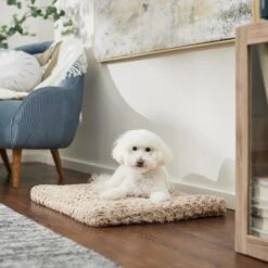 Frisco Double Door Furniture Style Dog Crate, Black & Frisco Swirl Dog Crate Mat 14 Frisco Double Door Furniture Style Dog Crate, Black & Frisco Swirl Dog Crate Mat -Frisco 947710 PT5. AC SS1800 V1693921603