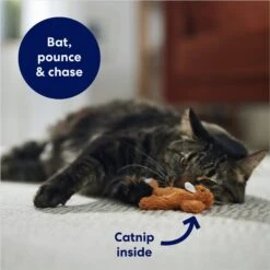 Frisco Squirrel Plush Cat Toy With Refillable Catnip & Frisco Bird With Feathers Teaser Wand Cat Toy With Catnip 12 Frisco Squirrel Plush Cat Toy With Refillable Catnip & Frisco Bird With Feathers Teaser Wand Cat Toy With Catnip -Frisco 962030 PT3. AC SS1800 V1694783954