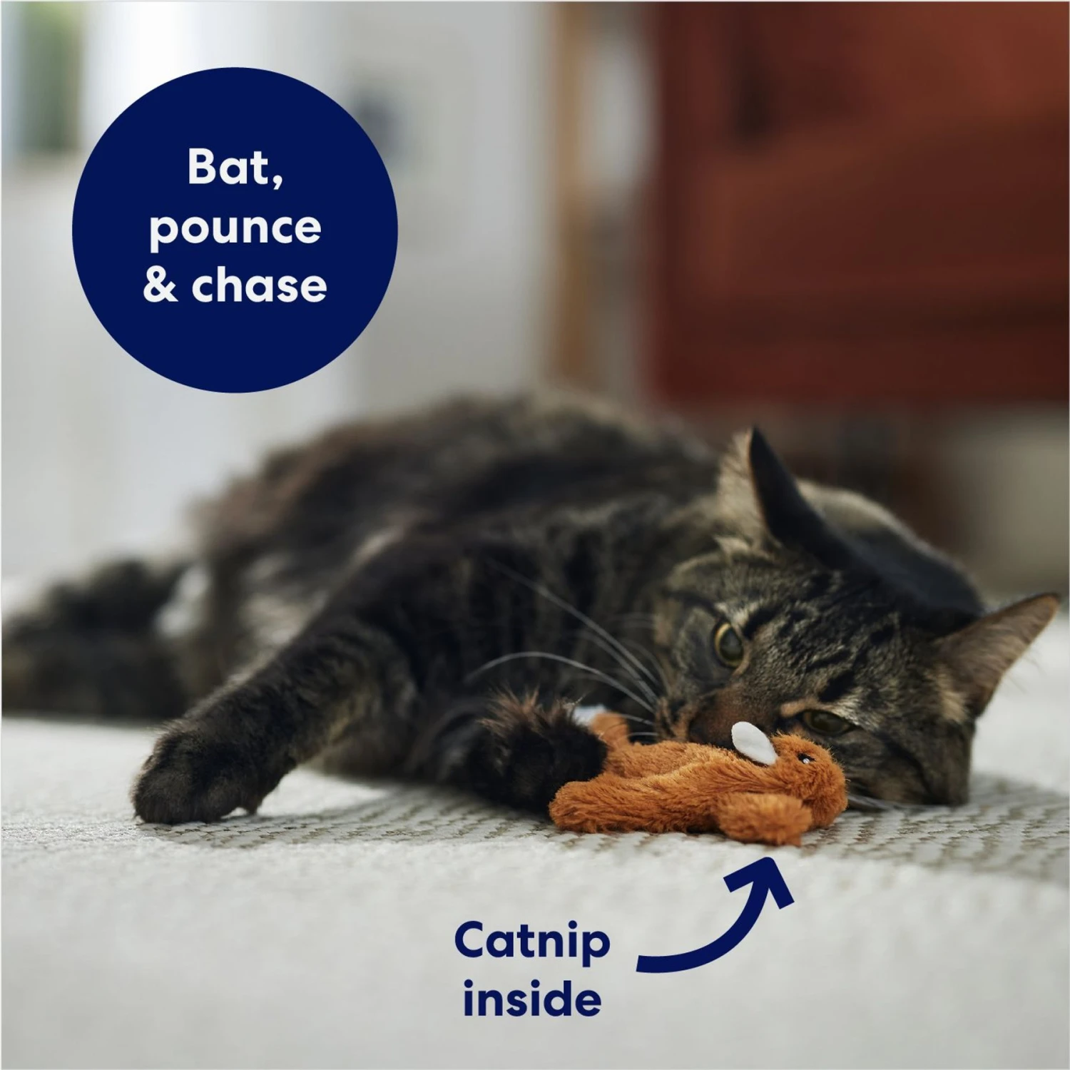 Frisco Squirrel Plush Cat Toy With Refillable Catnip & Frisco Bird With Feathers Teaser Wand Cat Toy With Catnip 4 Frisco Squirrel Plush Cat Toy With Refillable Catnip & Frisco Bird With Feathers Teaser Wand Cat Toy With Catnip - Image 4