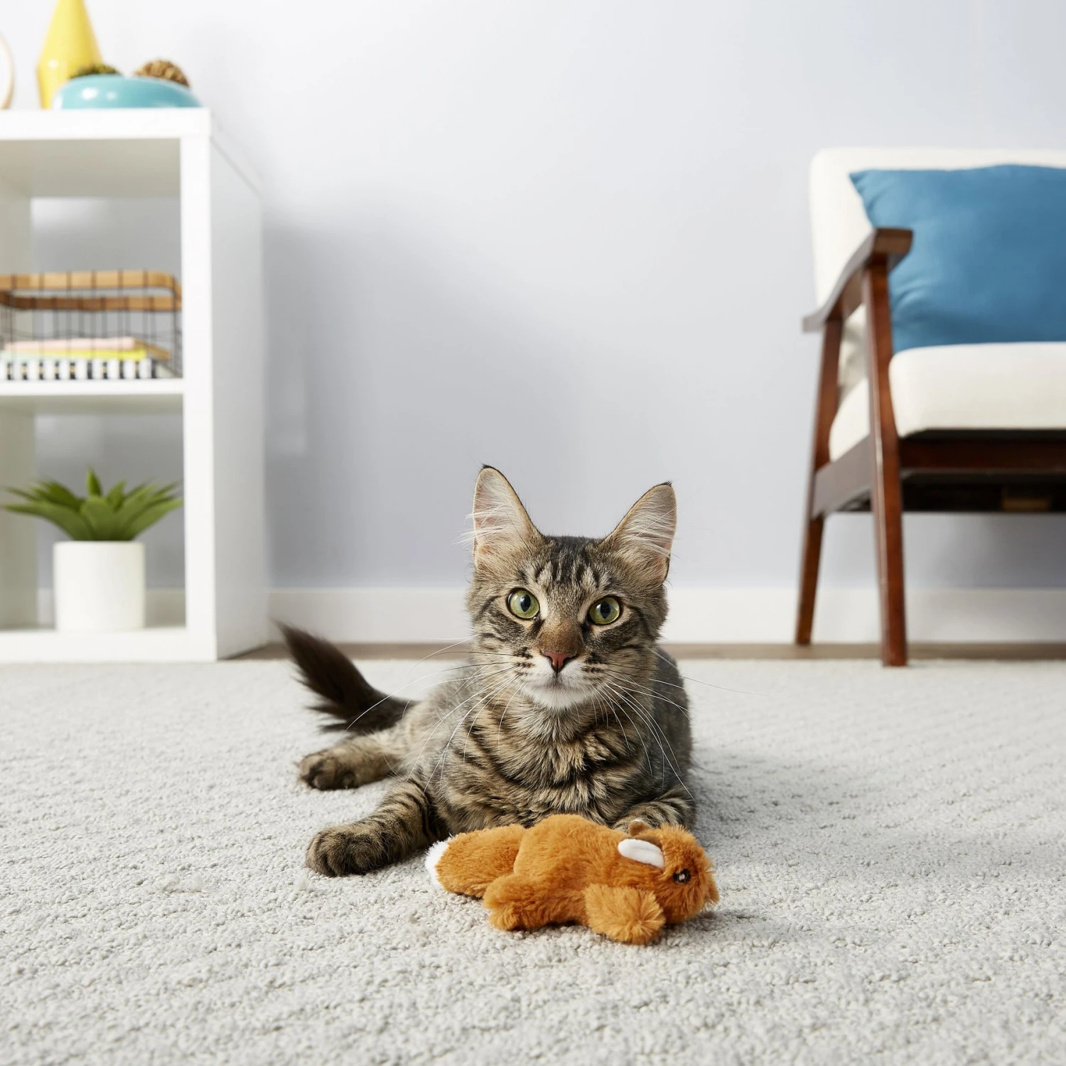 Frisco Squirrel Plush Cat Toy With Refillable Catnip & Frisco Bird With Feathers Teaser Wand Cat Toy With Catnip 5 Frisco Squirrel Plush Cat Toy With Refillable Catnip & Frisco Bird With Feathers Teaser Wand Cat Toy With Catnip - Image 5