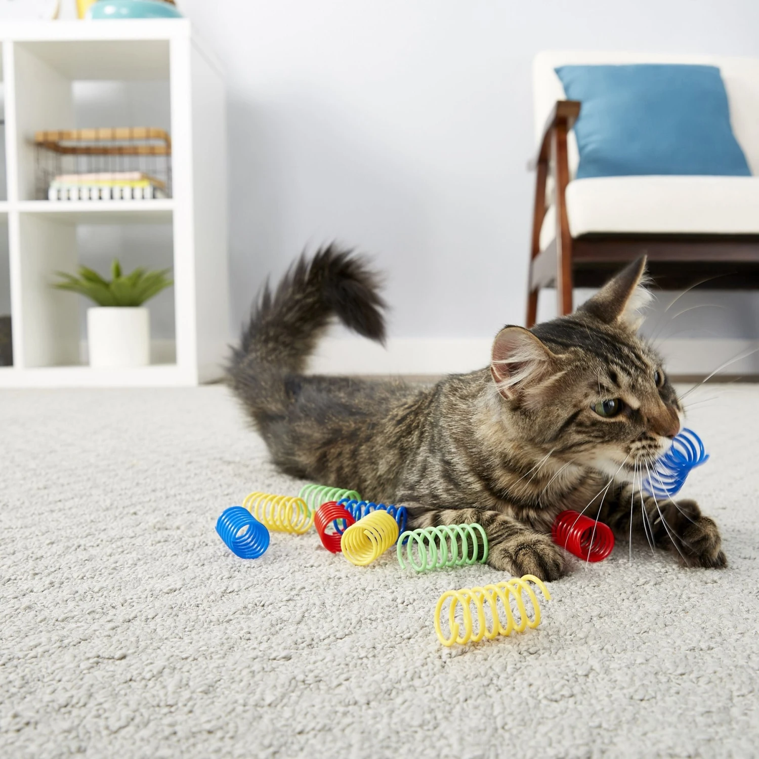 Frisco Colorful Springs Cat Toy & Frisco Bird With Feathers Teaser Wand Cat Toy With Catnip 5 Frisco Colorful Springs Cat Toy & Frisco Bird With Feathers Teaser Wand Cat Toy With Catnip - Image 5