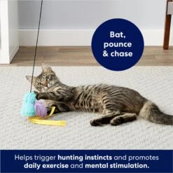 Frisco Colorful Springs Cat Toy & Frisco Bird With Feathers Teaser Wand Cat Toy With Catnip 17 Frisco Colorful Springs Cat Toy & Frisco Bird With Feathers Teaser Wand Cat Toy With Catnip -Frisco 962126 PT8. AC SS1800 V1694782921