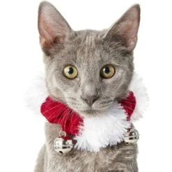 Frisco Holiday Dog & Cat Santa Hat, 1 Count & Frisco Jingle Bells Dog & Cat Holiday Collar With Bells, 1 Count 15 Frisco Holiday Dog & Cat Santa Hat, 1 Count & Frisco Jingle Bells Dog & Cat Holiday Collar With Bells, 1 Count -Frisco 986254 PT6. AC SS1800 V1698258115