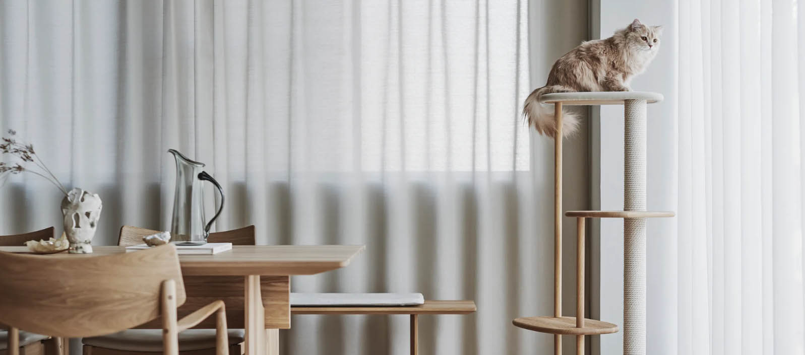 Frisco -Frisco fghfh